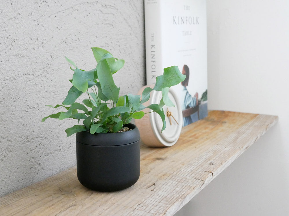 藤田金属の「ハチ」プラントポット