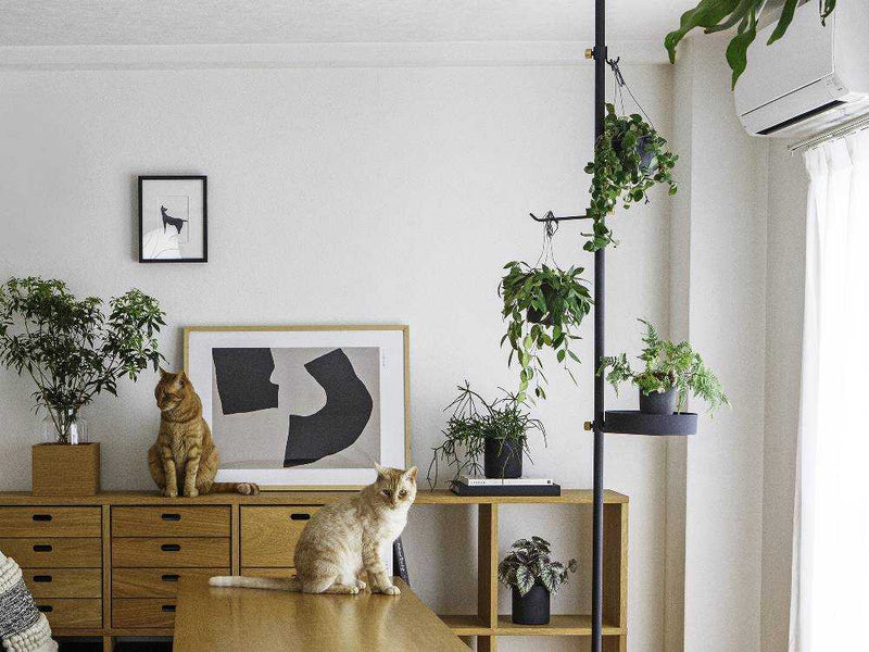 ホワイトカラーのテンションロッド、フック、トレイセット