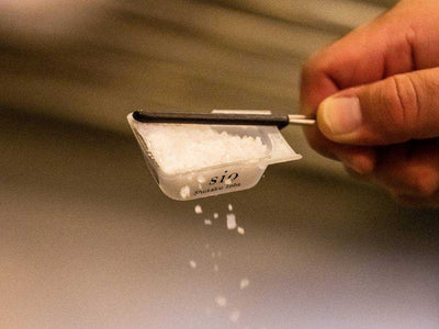 【Dreamfarm×Sio】スリキリ