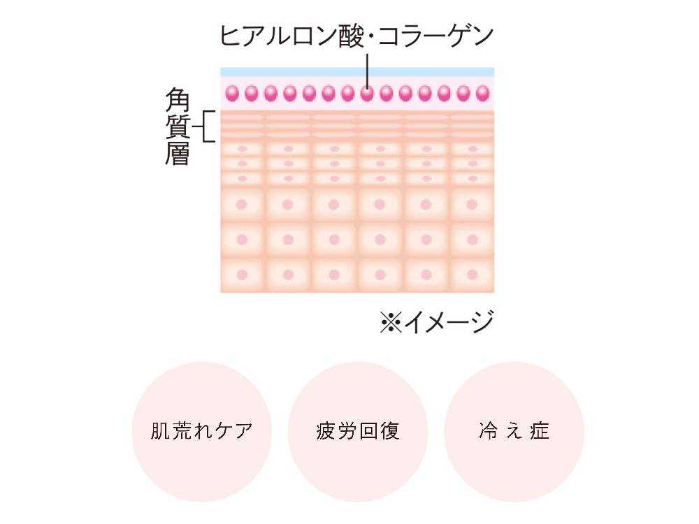【ReFa/リファ】ReFa SPA TABLET 60TABLETS