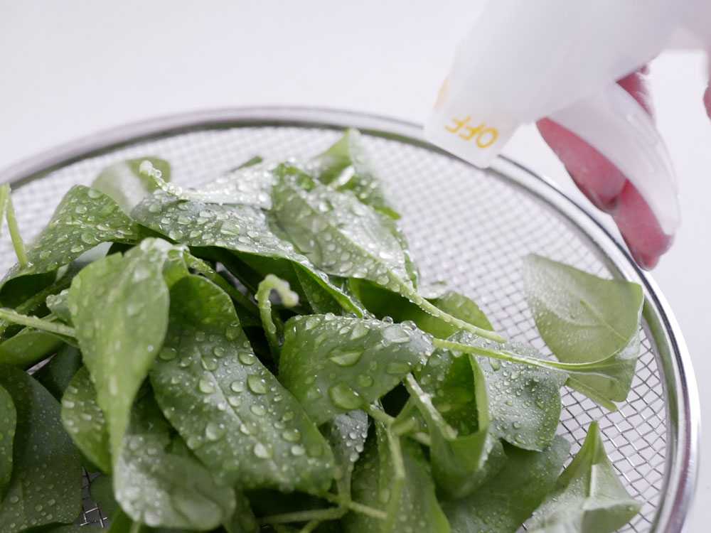 ベジセーフ 野菜あらいの水400ml×1本+forROOM400ml×2本の仕様シーン10