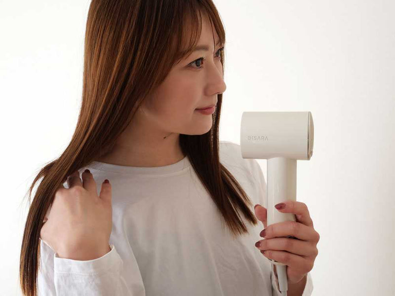 【QUADS】大風量コンパクトイオンドライヤー BISARAmini