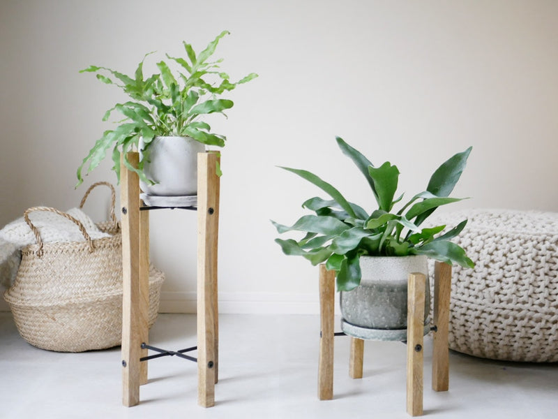 ポッシュリビングの折りたたみポットスタンドと植木鉢