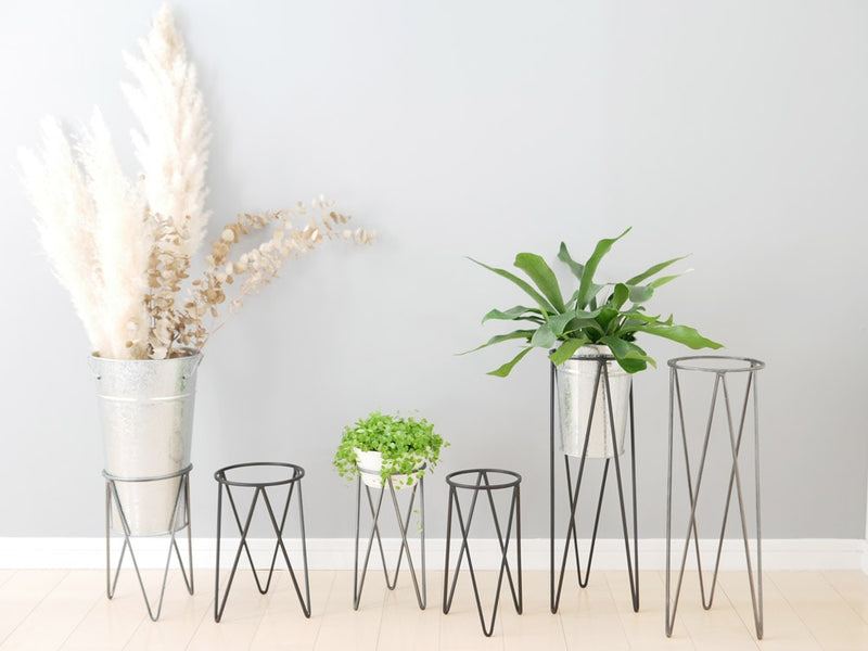 アイアン製ポッシュリビングのポットスタンドに花が飾られています