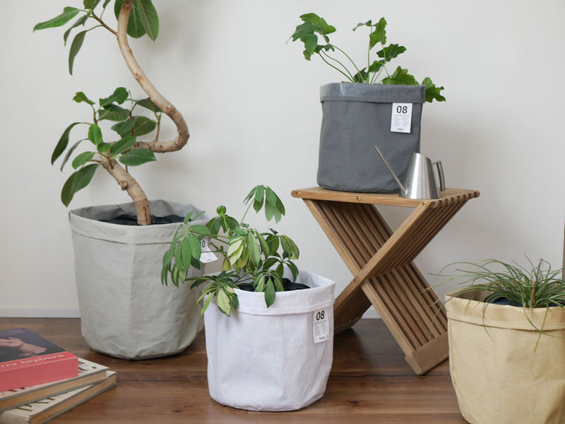 撥水加工籐バスケットに入ったハウスプラントと花鉢