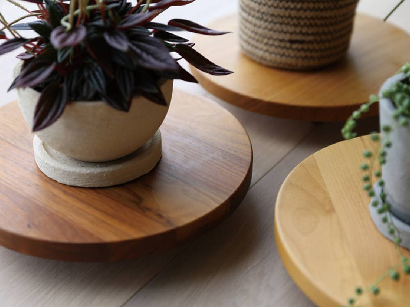 高野木工のホワイトオークまたはウォルナット製PLANTER BASEと陶器の花鉢がテーブル上に美しく配置されている様子