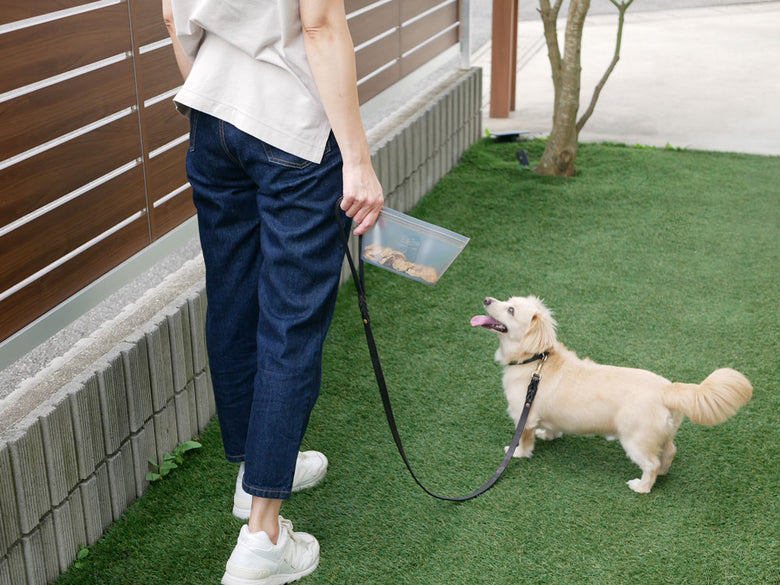 リードをつけた犬とZip Topのプラチナシリコーン製ディッシュ