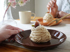 【Iittala/イッタラ】ティーマ 2026シーズナル限定カラー