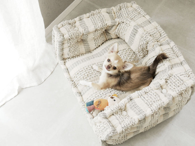 アデペシュ製ブロックマルチキッズソファ