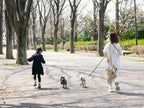 Horn Please MADEのヴィーガンレザー製小型犬用ハーネス。シンプルなデザインで胴回り約30×40cmに対応。