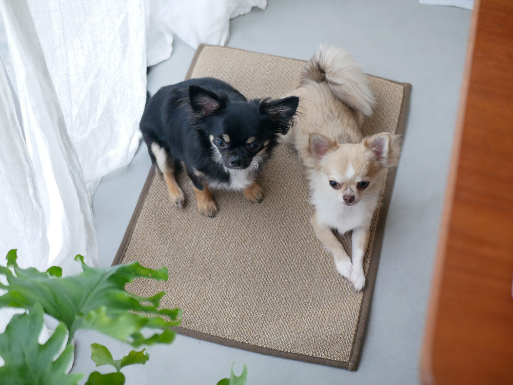 SASAWASHIの和紙バスマット 45×65cm