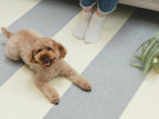 【sankopet/サンコーペット】このコ想いのタイルマット 同色18枚入