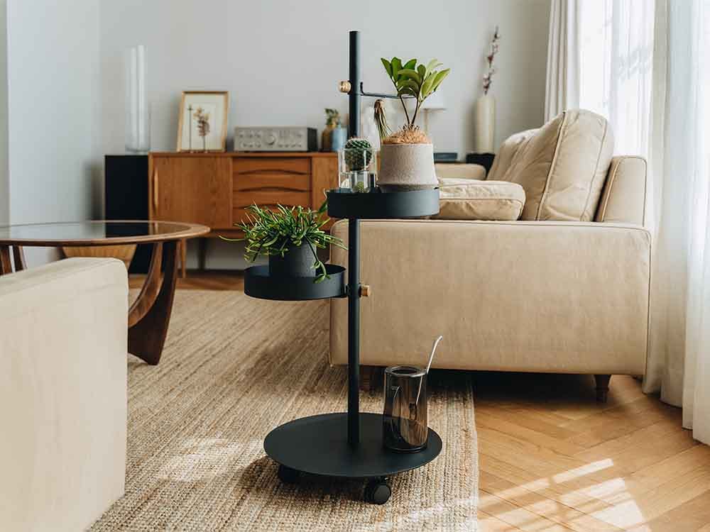 木製床にコーヒーテーブル、椅子、ランプが配置されたリビングルーム