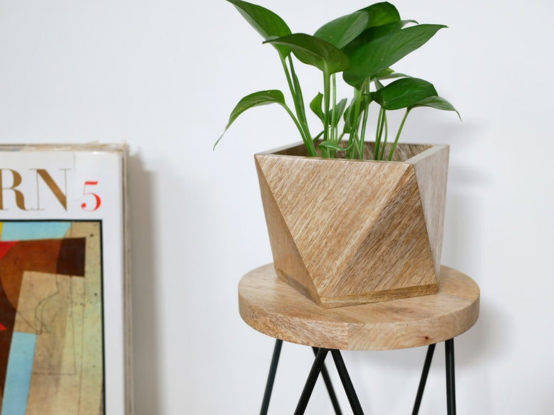 POSH LIVINGのマンゴーウッド製ポリゴンポットカバー