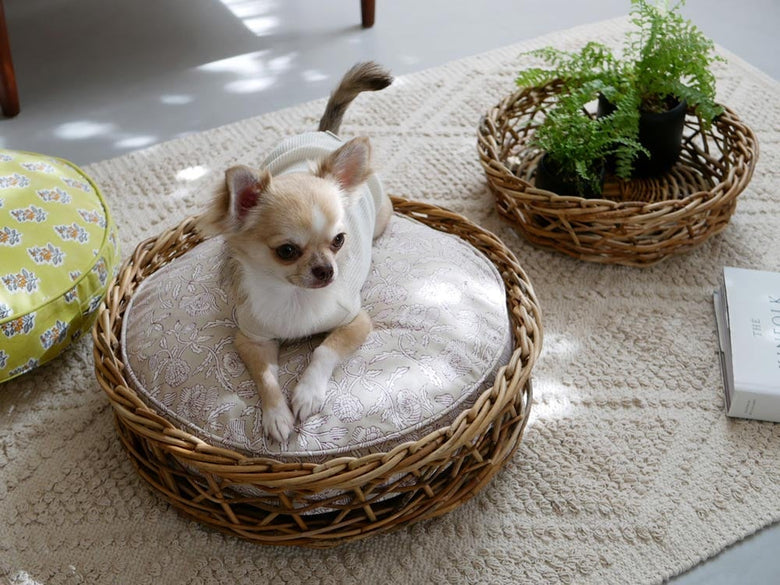 ホーンプリーズARUROGウィッカー製犬用バスケットと子犬