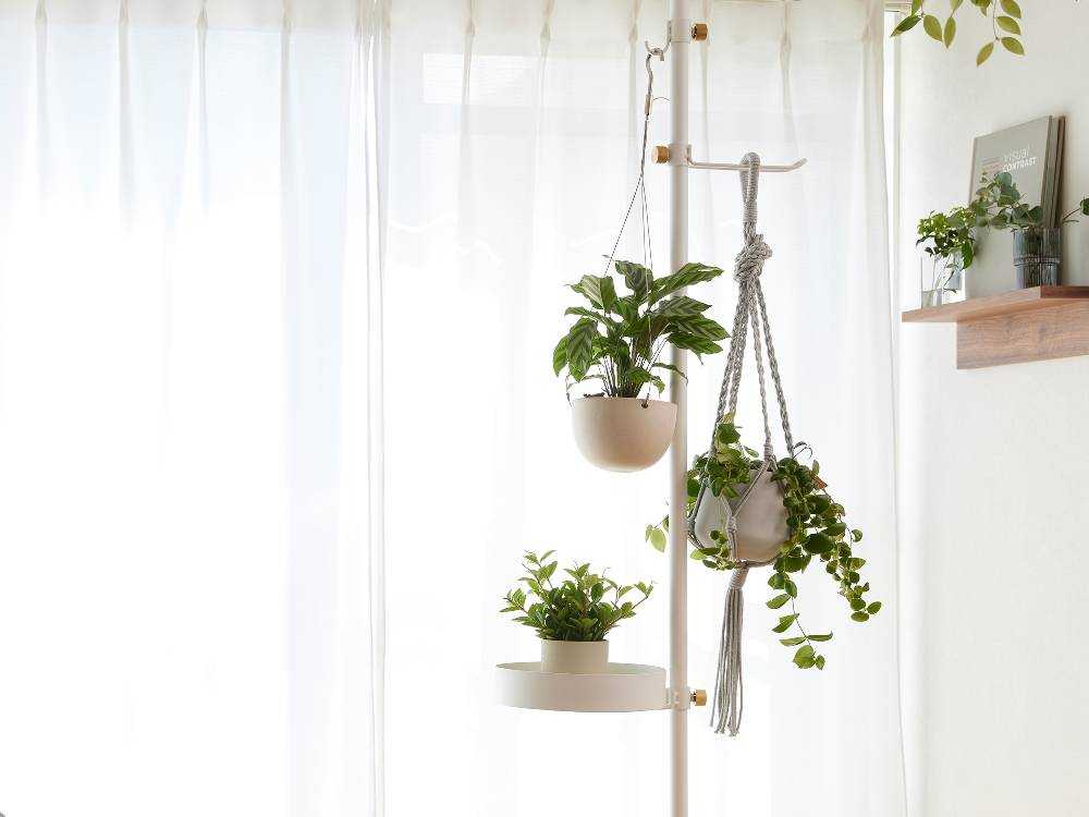 ドローアラインのペットと植物用セット