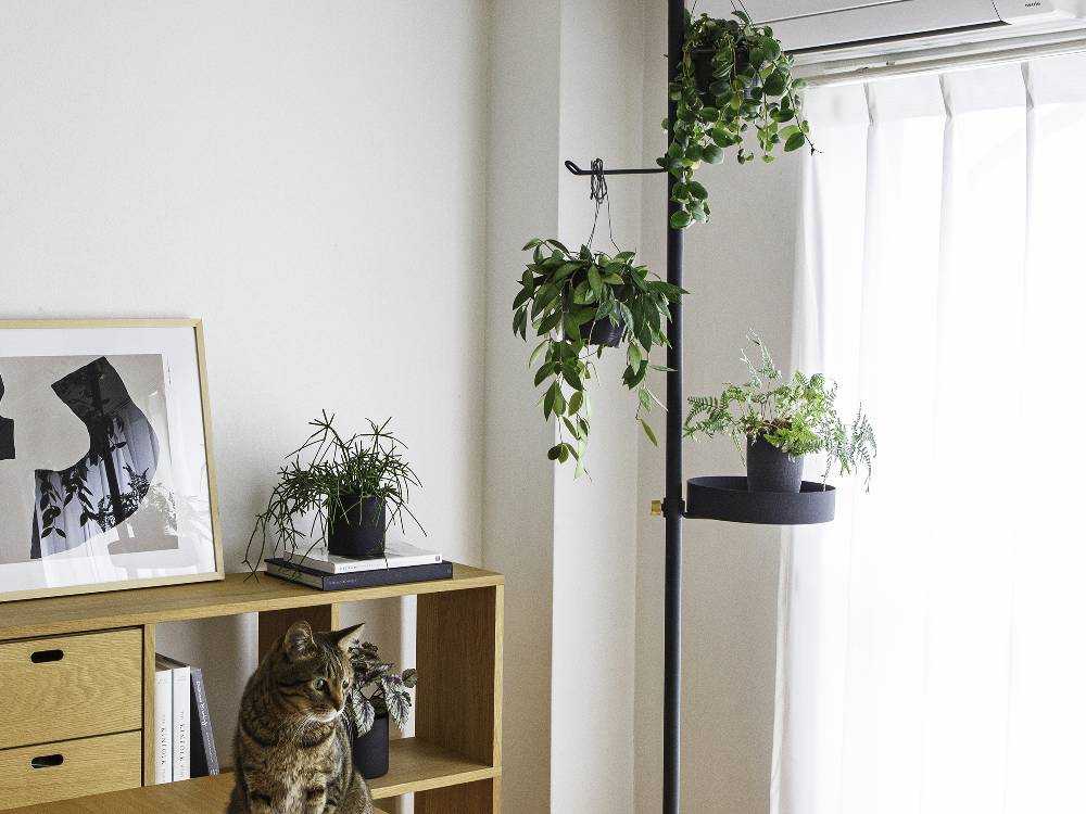 DRAW A LINE ペットと植物セット ホワイトとブラックの全パーツ