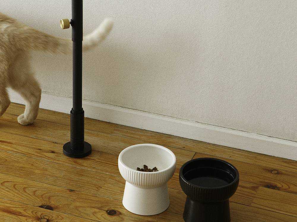 ドローアラインのホワイトとブラックペット植物セット