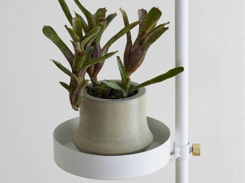 棚に配置された花鉢と室内植物