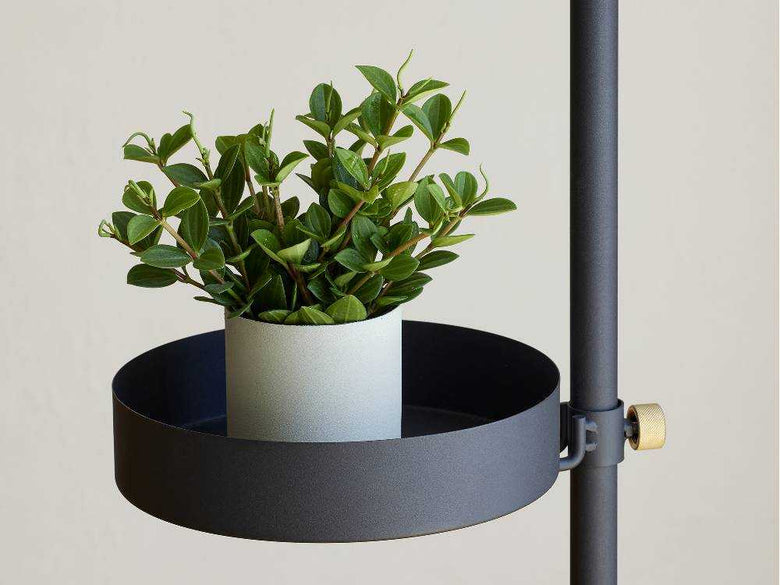 ホワイトとブラックの支柱に配置された観葉植物モリモリツリーセット