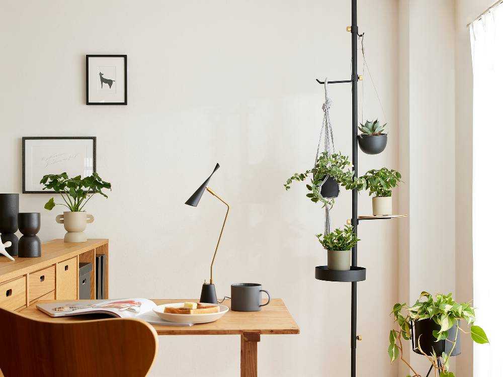 ホワイトとブラックのモリモリツリーセットと植物