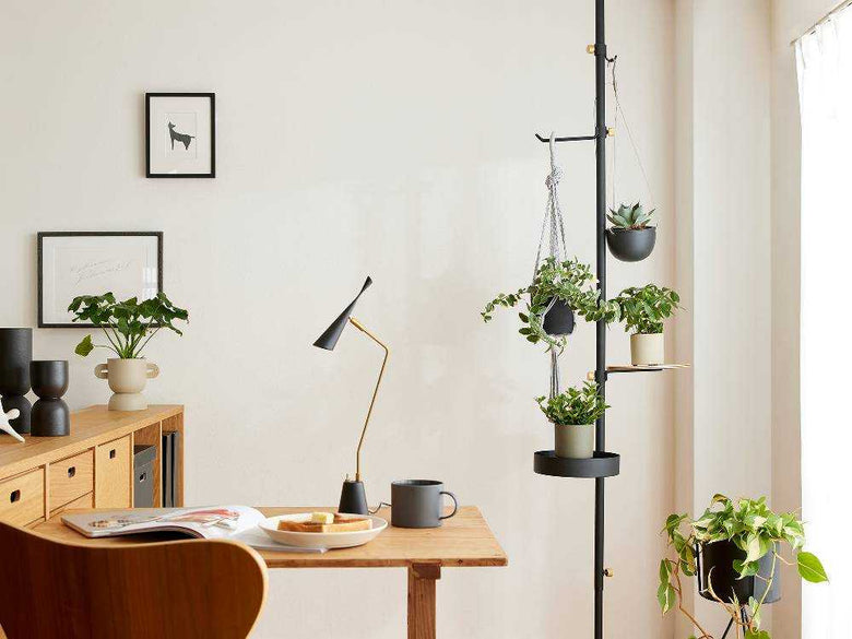 ホワイトとブラックのモリモリツリーセットと植物