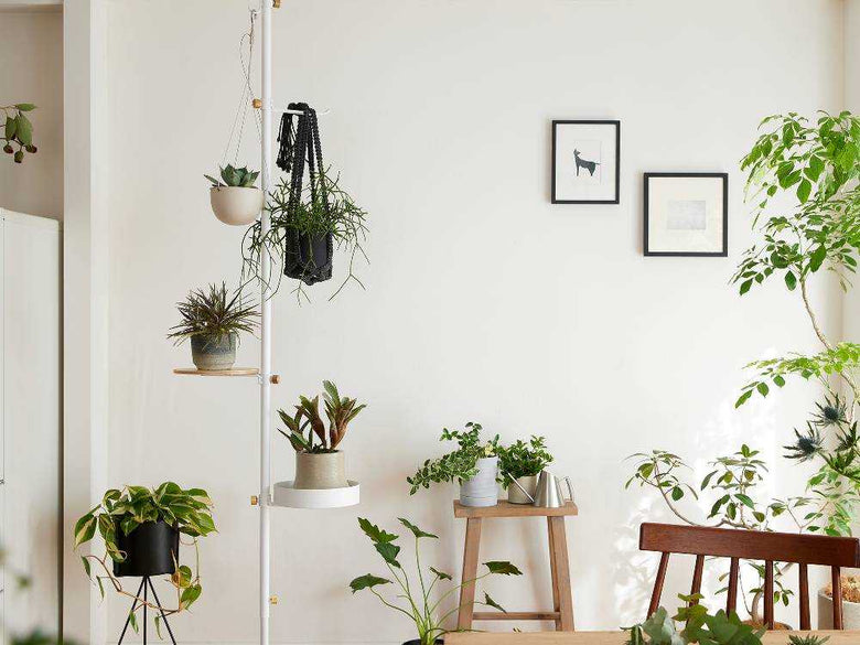 ドローアライン モリモリツリーセット ホワイト・ブラック