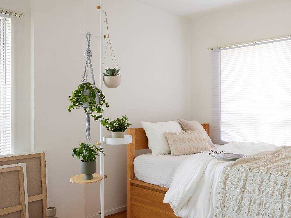 ドローアラインモリモリツリーセットのスタイリッシュな室内装飾