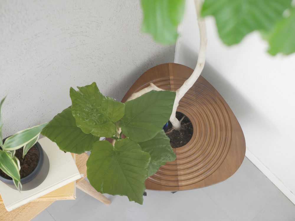 amabroアマブロの土隠しウッドプラントテーブル