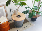 ラバーウッド製土隠しプラントテーブルの展示
