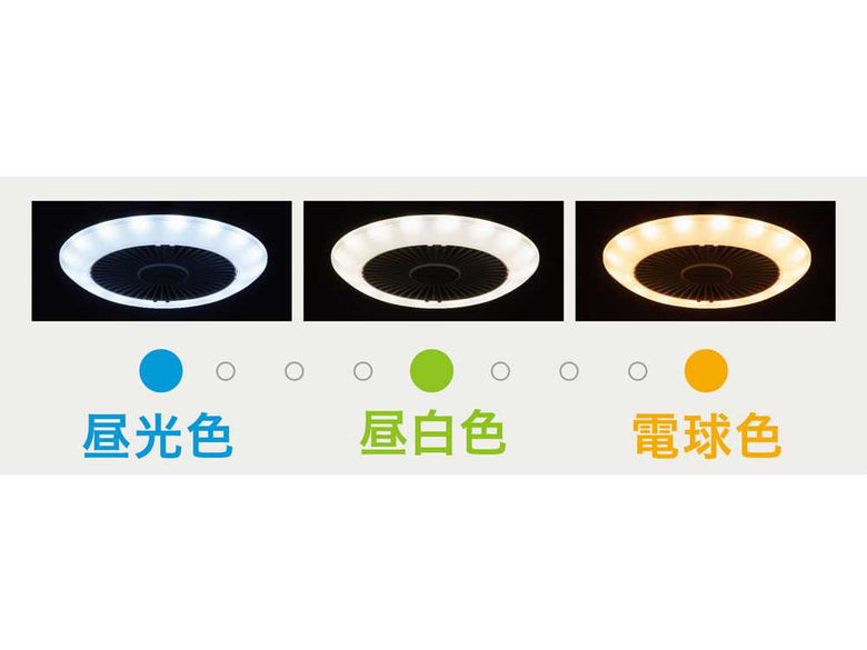 ホワイトの人感センサー付きサーキュライトE26ソケット