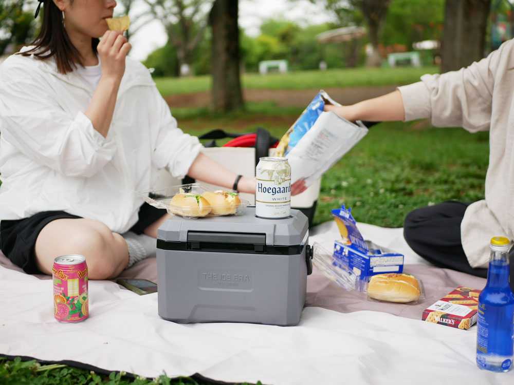 POST GENERAL THE ICE ERA ハードシェルクーラーネオ 12L