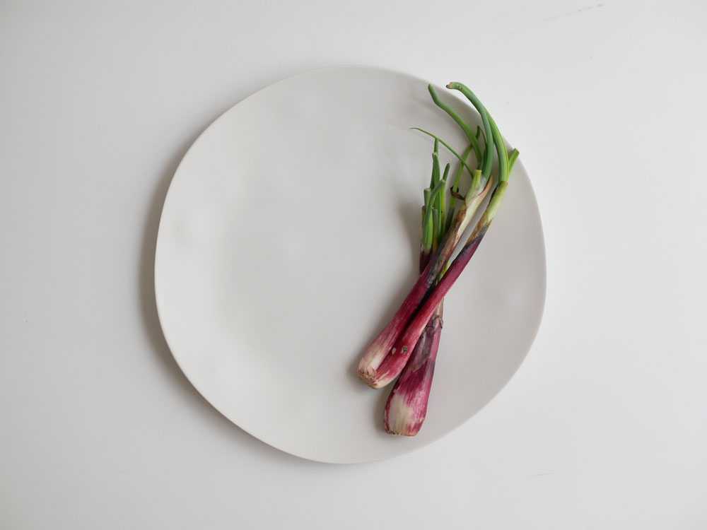 【Hinata Life 美強皿】美しくてタフな次世代メラミンプレート