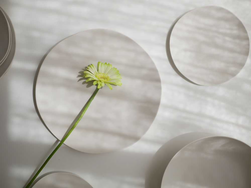 美強皿のディナー、サラダ、アペタイザープレートとローボウルのセット