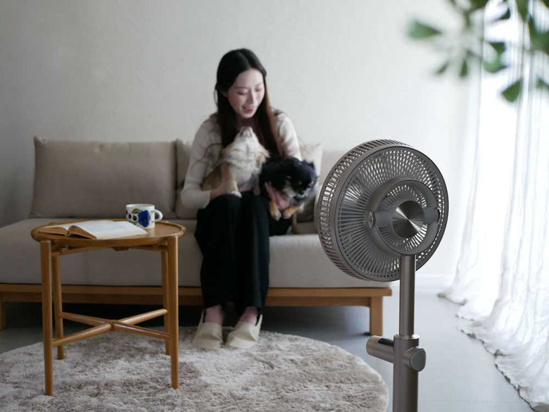 リビングに置かれたカモメファン+C lite