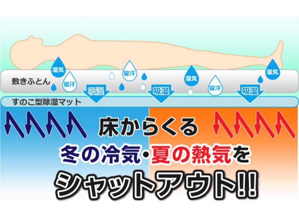 Air Job防ダニ吸湿ブロック型マットの画像