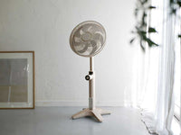 シャンパンゴールド