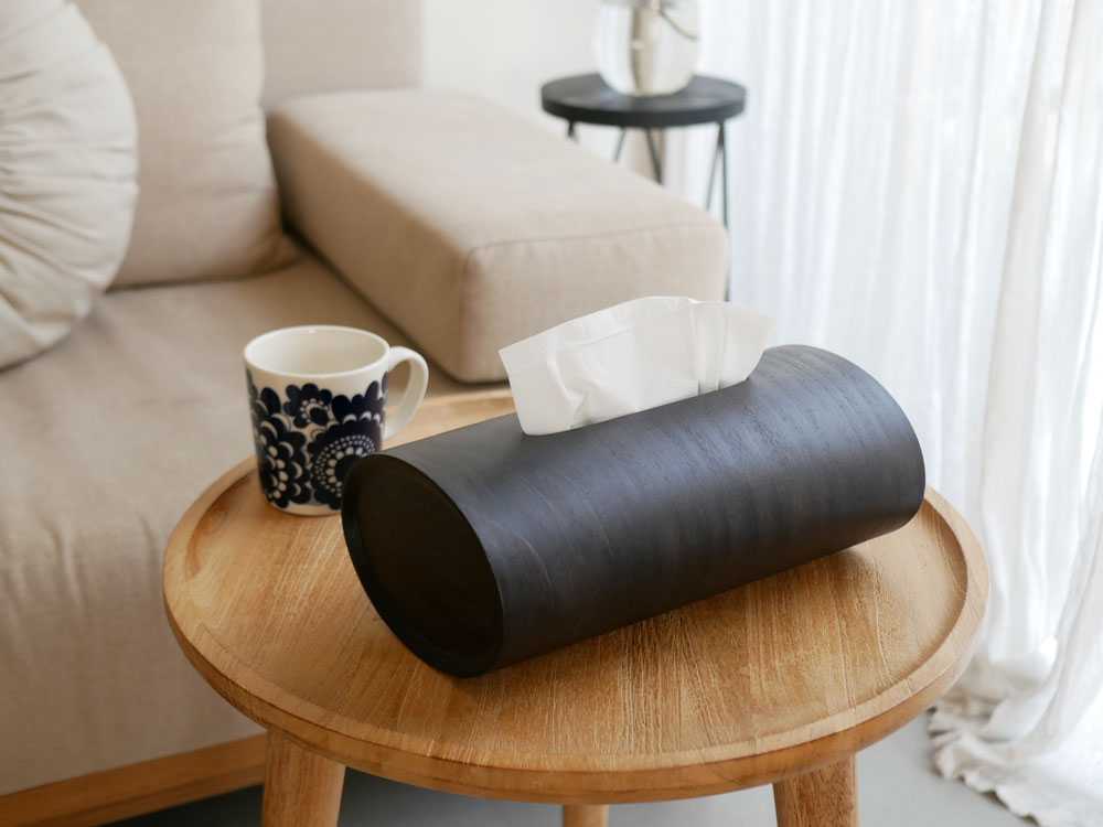 【BUNACO】2WAYティッシュボックス SWING