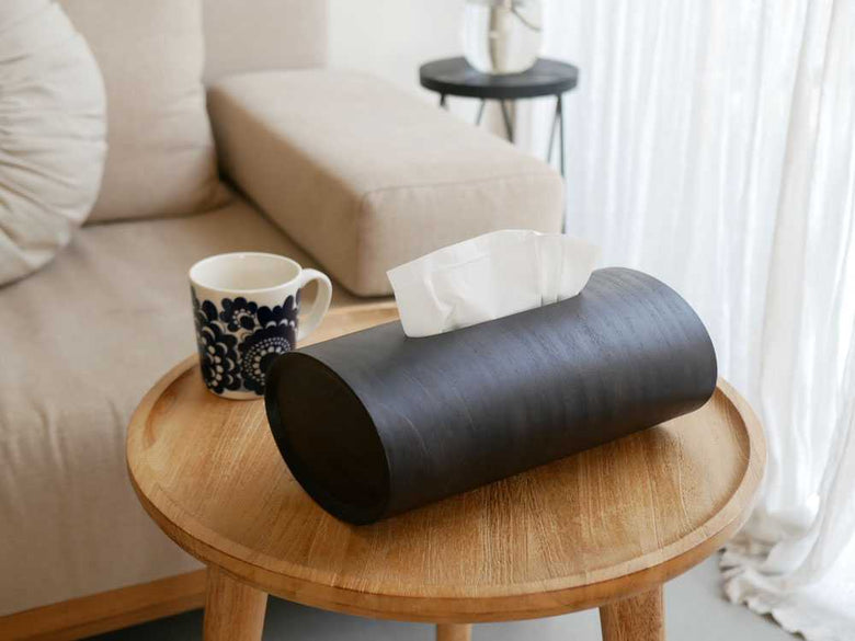 【BUNACO】2WAYティッシュボックス SWING