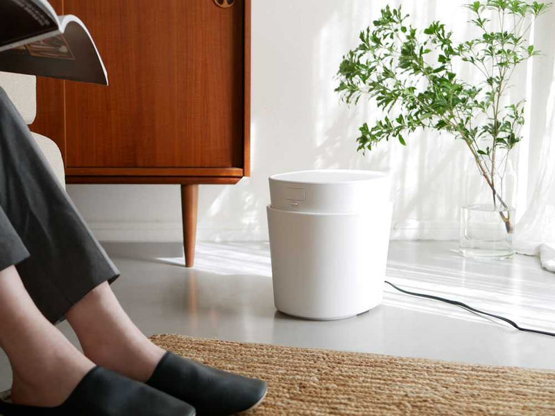 木の床に置かれた観葉植物と花瓶、カップ