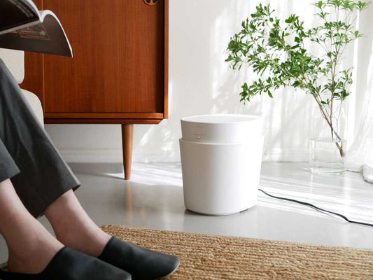 木の床に置かれた観葉植物と花瓶、カップ