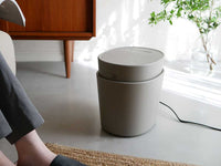 ブラウングレー