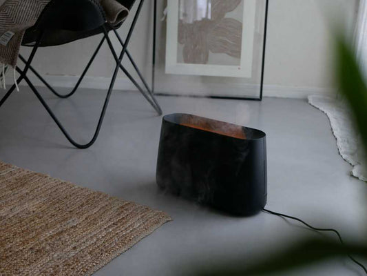 【Stadler Form/スタドラフォーム】炎がゆらめく加湿器 Ben2.0