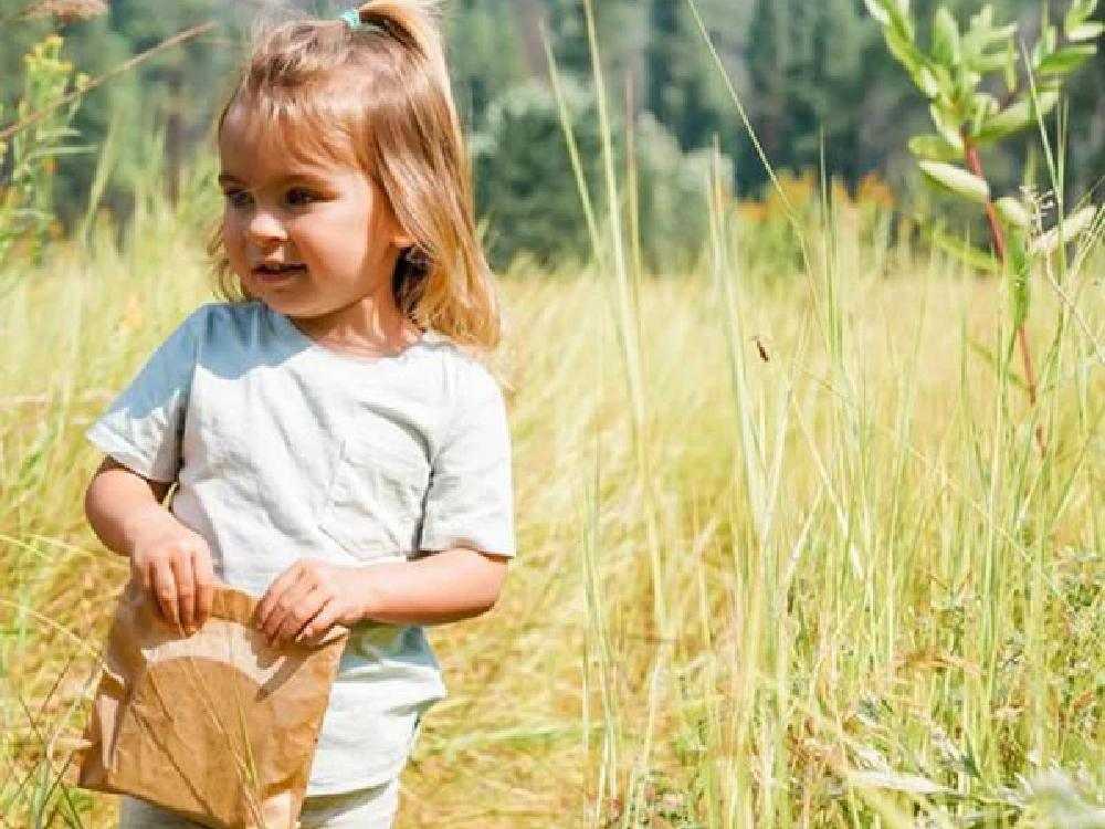 【if you care/イフユーケア】FSC＆コンポスト認証　無漂白スナック＆サンドイッチバッグ（48枚入り)