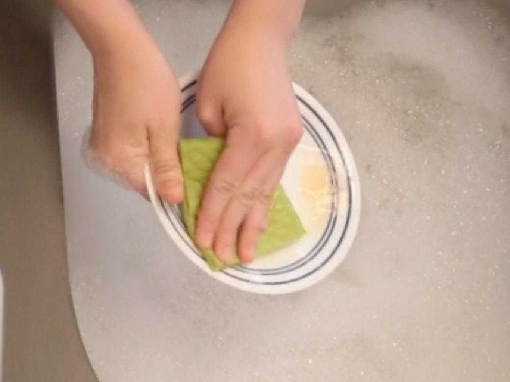 【if you care/イフユーケア】コンポスト&USDAバイオベース認証 100%ナチュラル高吸水スポンジクロス（5枚入）