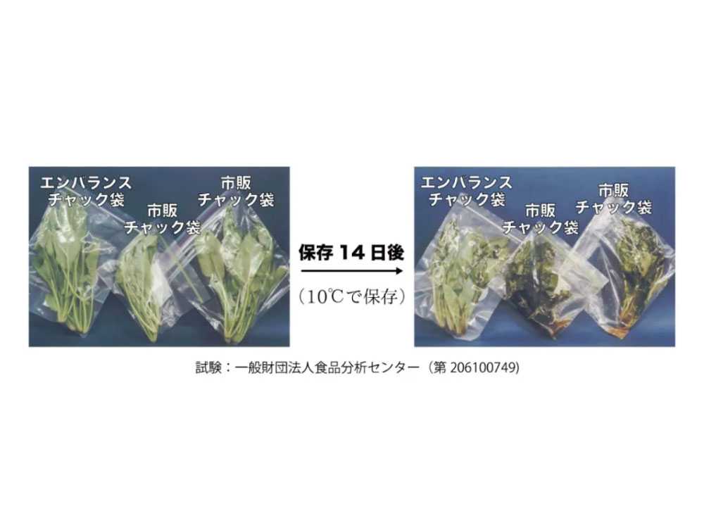 【EMBALANCE/エンバランス】食材を美味しく保つ保存容器 Hinatalife特別セット / コンテナ4点＆ジッパーバッグセットの仕様シーン4