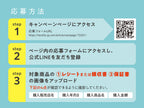 【recolte/レコルト】ハイスチームエアーオーブン