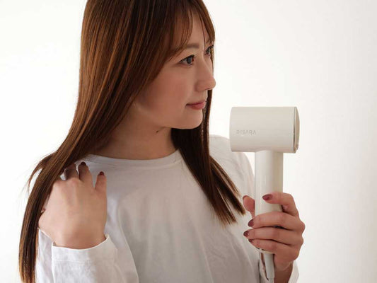 【QUADS】大風量コンパクトイオンドライヤー　BISARAmini