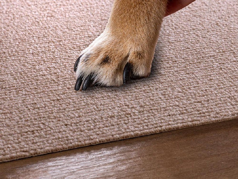【sankopet/サンコーペット】このコ想いのタイルマット 同色18枚入