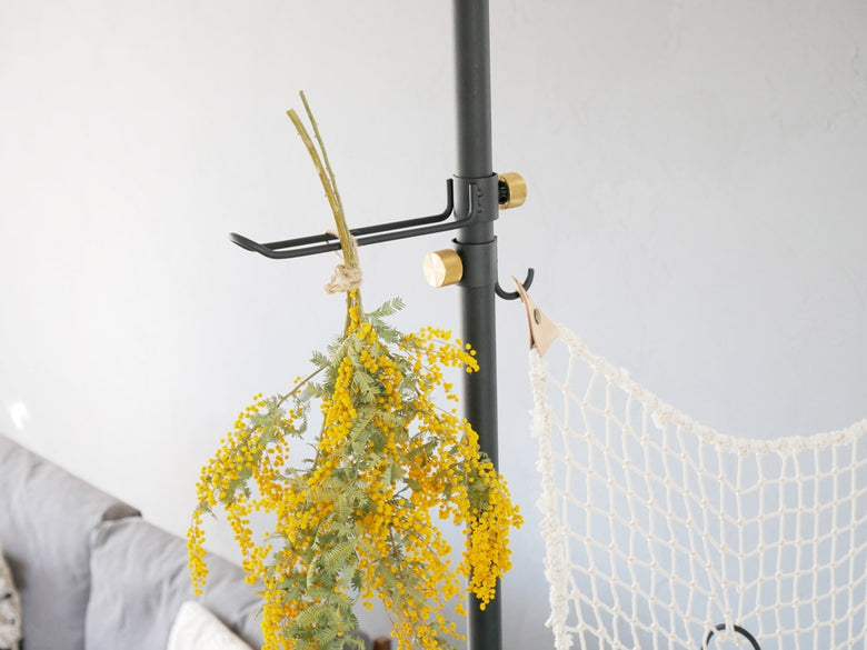 ドローアライン015フックBで吊るされた観葉植物